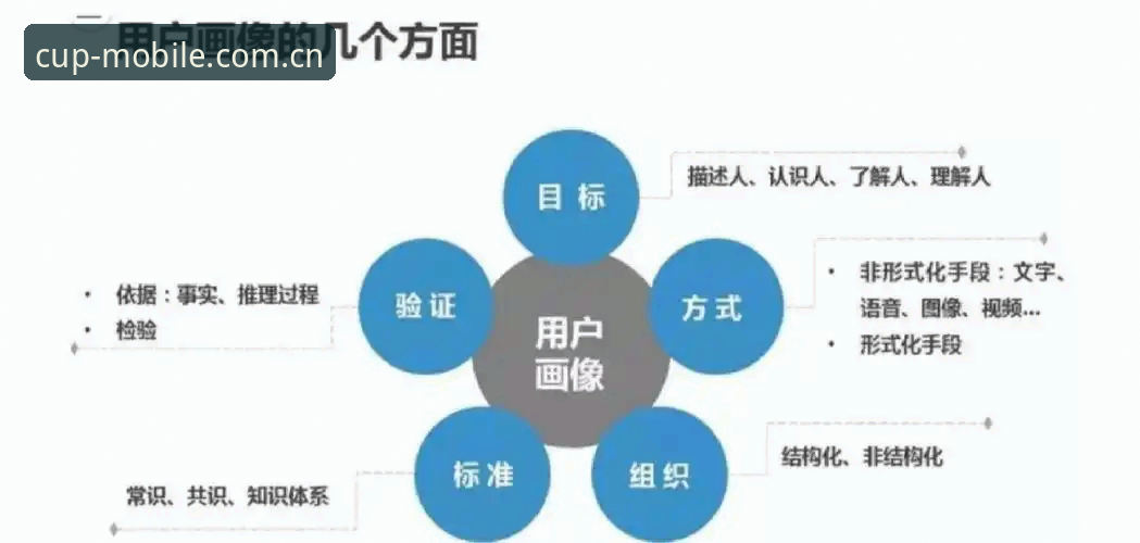 资深用户深度解析：世界杯观赛签证危机下的手机投注平台实战经验