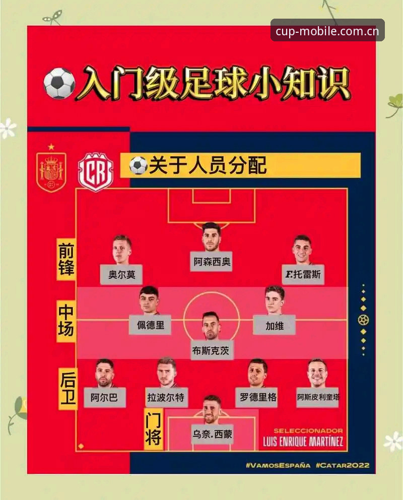 世界杯观赛投注实战指南：资深用户详解官方版功能使用心得