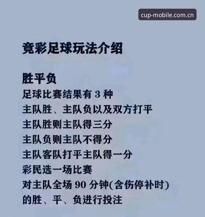 手机买球世界杯vs传统平台：2025新版投注体验的全面升级